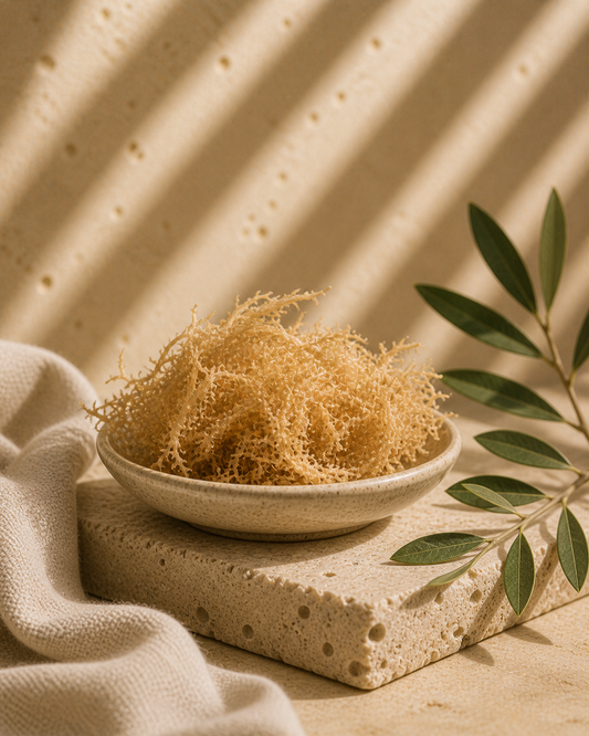 Golden Sea Moss byPurple Sea Moss by Natroyale — wildcrafted Irish sea moss from Jamaica in a small ceramic dish, on a travertine stone shelf with cream linen and olive branch. Natroyale — wildcrafted Irish sea moss from Jamaica in a small ceramic dish, on a travertine stone shelf with cream linen and olive branch.
